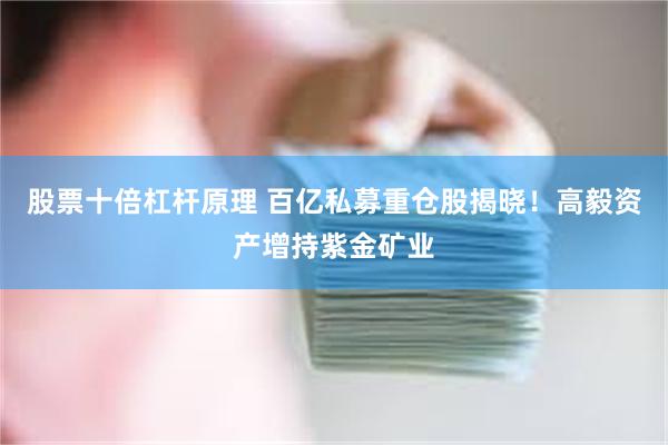 股票十倍杠杆原理 百亿私募重仓股揭晓！高毅资产增持紫金矿业