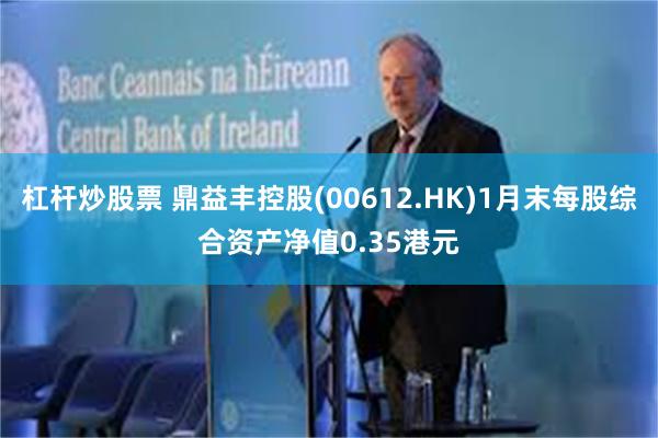 杠杆炒股票 鼎益丰控股(00612.HK)1月末每股综合资产净值0.35港元