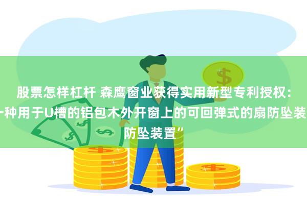 股票怎样杠杆 森鹰窗业获得实用新型专利授权：“一种用于U槽的铝包木外开窗上的可回弹式的扇防坠装置”