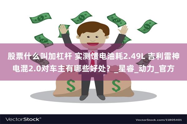 股票什么叫加杠杆 实测馈电油耗2.49L 吉利雷神电混2.0对车主有哪些好处？_星睿_动力_官方