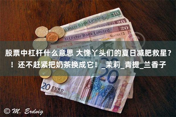 股票中杠杆什么意思 大馋丫头们的夏日减肥救星？！还不赶紧把奶茶换成它！_茉莉_青提_兰香子