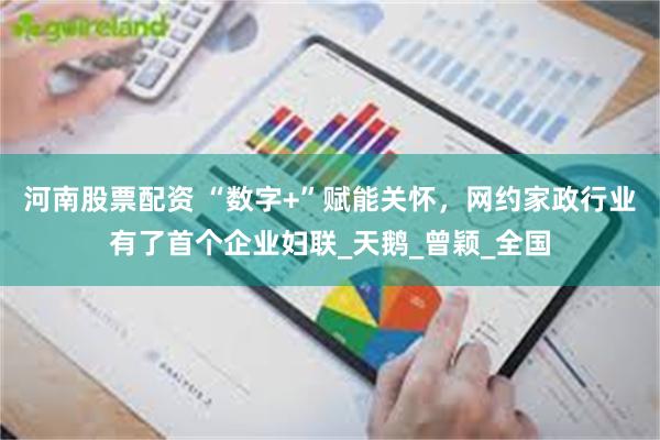 河南股票配资 “数字+”赋能关怀，网约家政行业有了首个企业妇联_天鹅_曾颖_全国