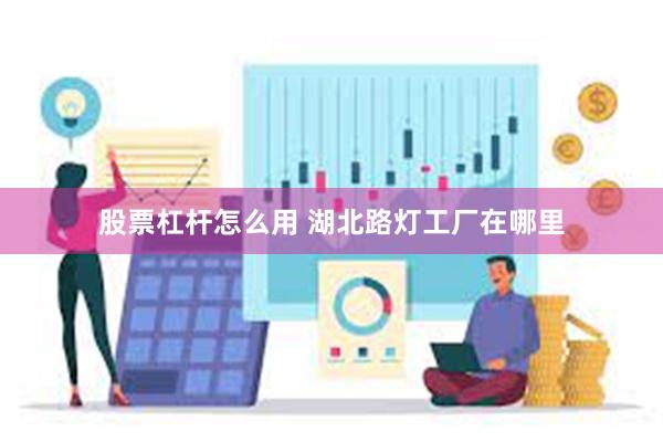 股票杠杆怎么用 湖北路灯工厂在哪里