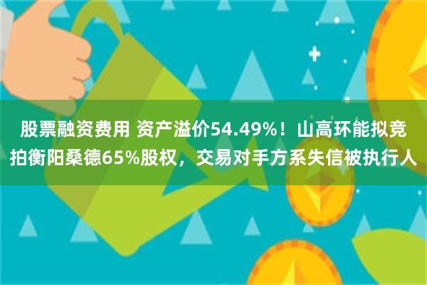 股票融资费用 资产溢价54.49%！山高环能拟竞拍衡阳桑德65%股权，交易对手方系失信被执行人