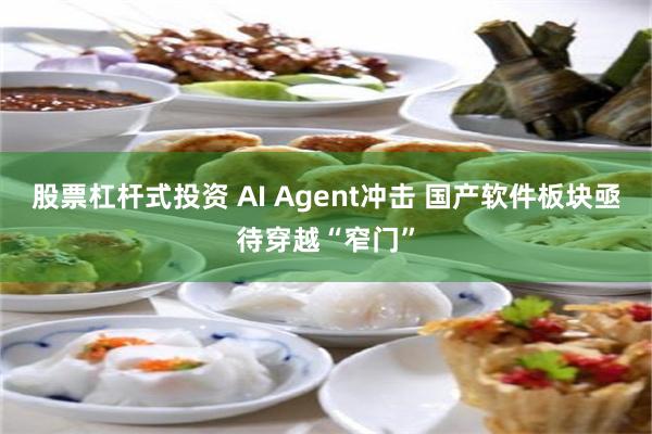 股票杠杆式投资 AI Agent冲击 国产软件板块亟待穿越“窄门”