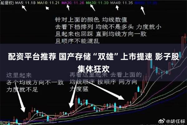 配资平台推荐 国产存储“双雄”上市提速 影子股集体狂欢