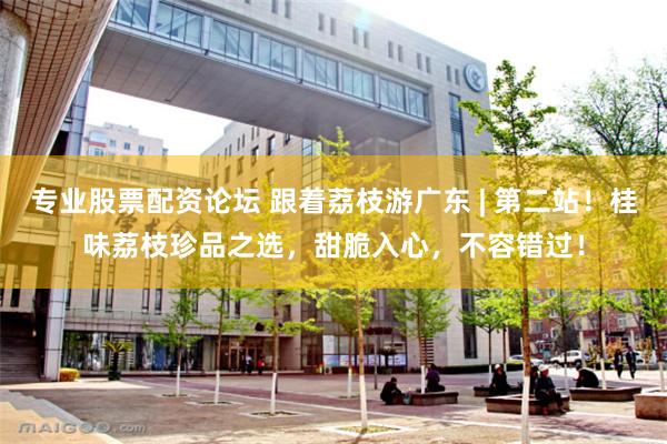 专业股票配资论坛 跟着荔枝游广东 | 第二站！桂味荔枝珍品之选，甜脆入心，不容错过！