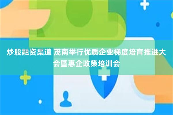 炒股融资渠道 茂南举行优质企业梯度培育推进大会暨惠企政策培训会