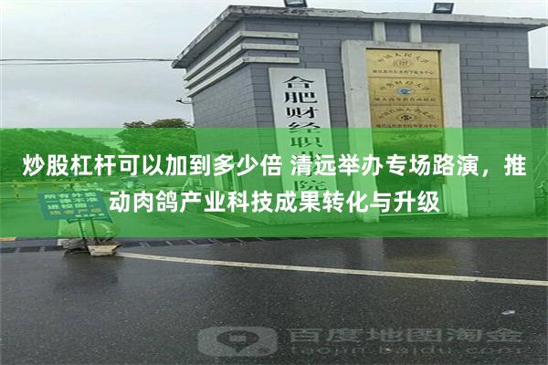 炒股杠杆可以加到多少倍 清远举办专场路演，推动肉鸽产业科技成果转化与升级
