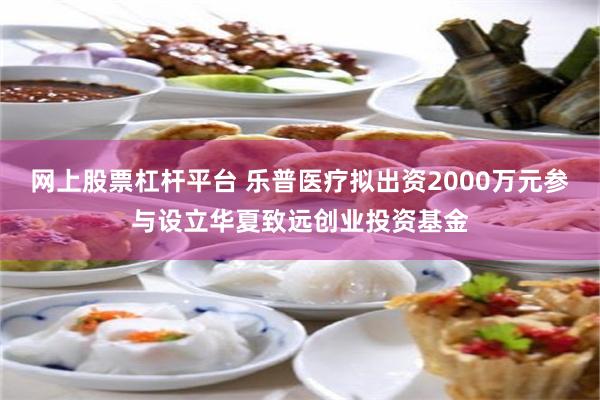 网上股票杠杆平台 乐普医疗拟出资2000万元参与设立华夏致远创业投资基金