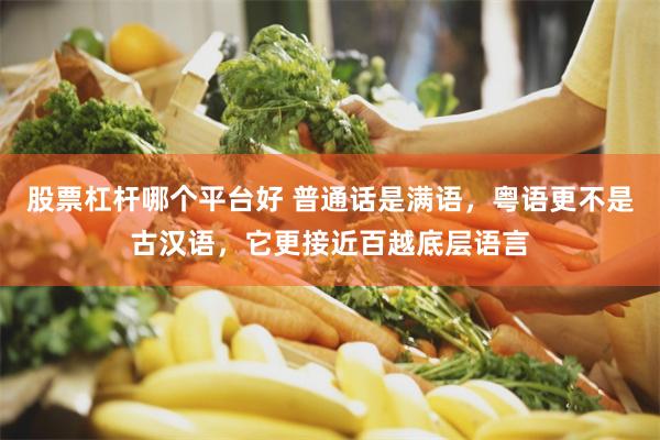 股票杠杆哪个平台好 普通话是满语，粤语更不是古汉语，它更接近百越底层语言