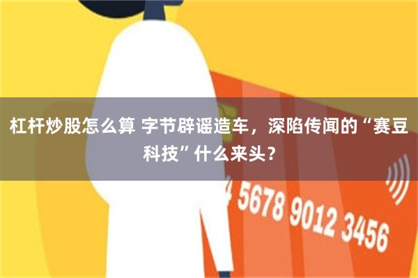 杠杆炒股怎么算 字节辟谣造车，深陷传闻的“赛豆科技”什么来头？