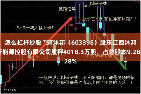 怎么杠杆炒股 *ST沐邦（603398）股东江西沐邦新能源控股有限公司质押4018.3万股，占总股本9.28%