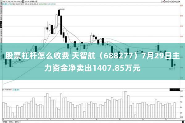股票杠杆怎么收费 天智航（688277）7月29日主力资金净卖出1407.85万元