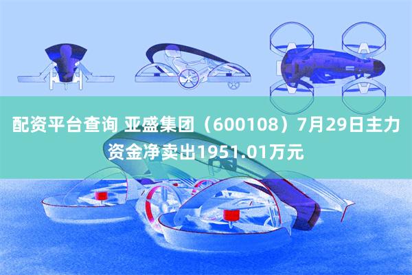 配资平台查询 亚盛集团（600108）7月29日主力资金净卖出1951.01万元