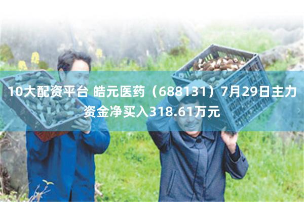 10大配资平台 皓元医药（688131）7月29日主力资金净买入318.61万元