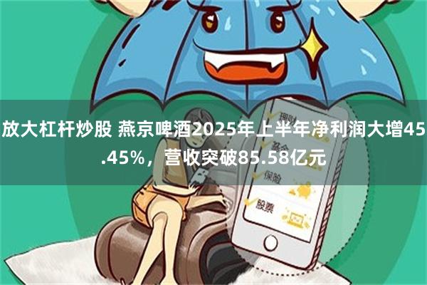 放大杠杆炒股 燕京啤酒2025年上半年净利润大增45.45%，营收突破85.58亿元