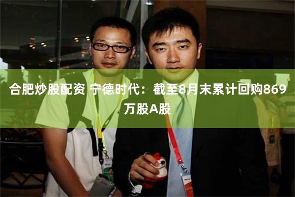 合肥炒股配资 宁德时代：截至8月末累计回购869万股A股