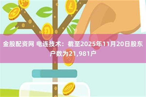 金股配资网 电连技术：截至2025年11月20日股东户数为21,981户