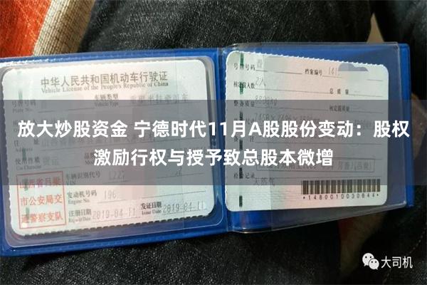 放大炒股资金 宁德时代11月A股股份变动：股权激励行权与授予致总股本微增