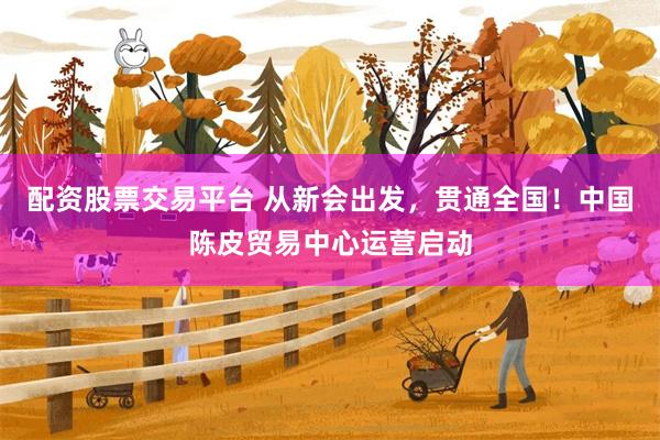 配资股票交易平台 从新会出发，贯通全国！中国陈皮贸易中心运营启动