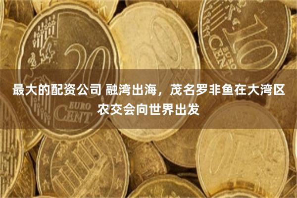 最大的配资公司 融湾出海，茂名罗非鱼在大湾区农交会向世界出发