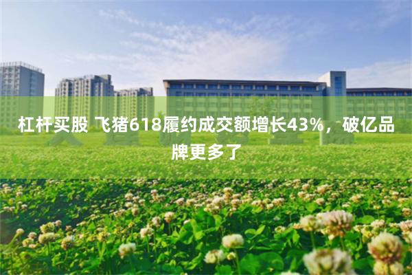 杠杆买股 飞猪618履约成交额增长43%，破亿品牌更多了