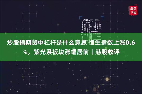 炒股指期货中杠杆是什么意思 恒生指数上涨0.6%，紫光系板块涨幅居前｜港股收评