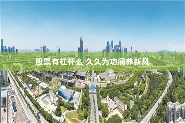 股票有杠杆么 久久为功涵养新风