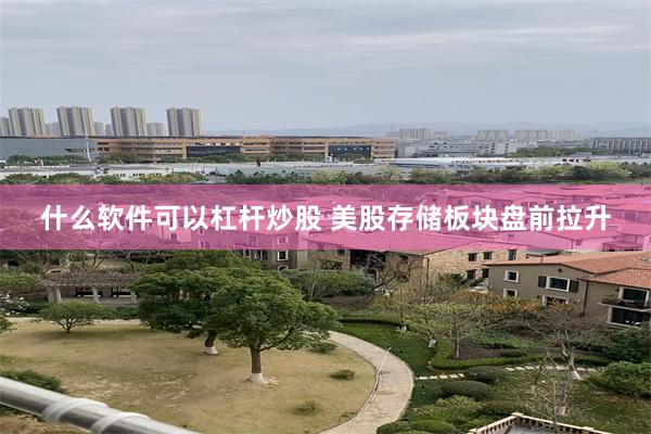 什么软件可以杠杆炒股 美股存储板块盘前拉升