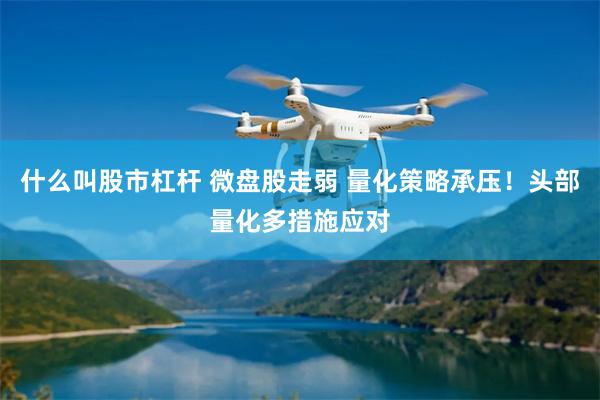 什么叫股市杠杆 微盘股走弱 量化策略承压！头部量化多措施应对