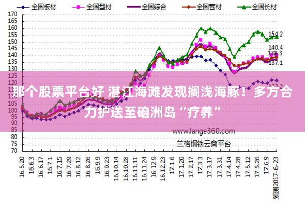 那个股票平台好 湛江海滩发现搁浅海豚！多方合力护送至硇洲岛“疗养”